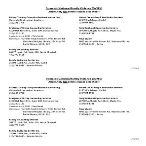 Approved Parenting Program Providers